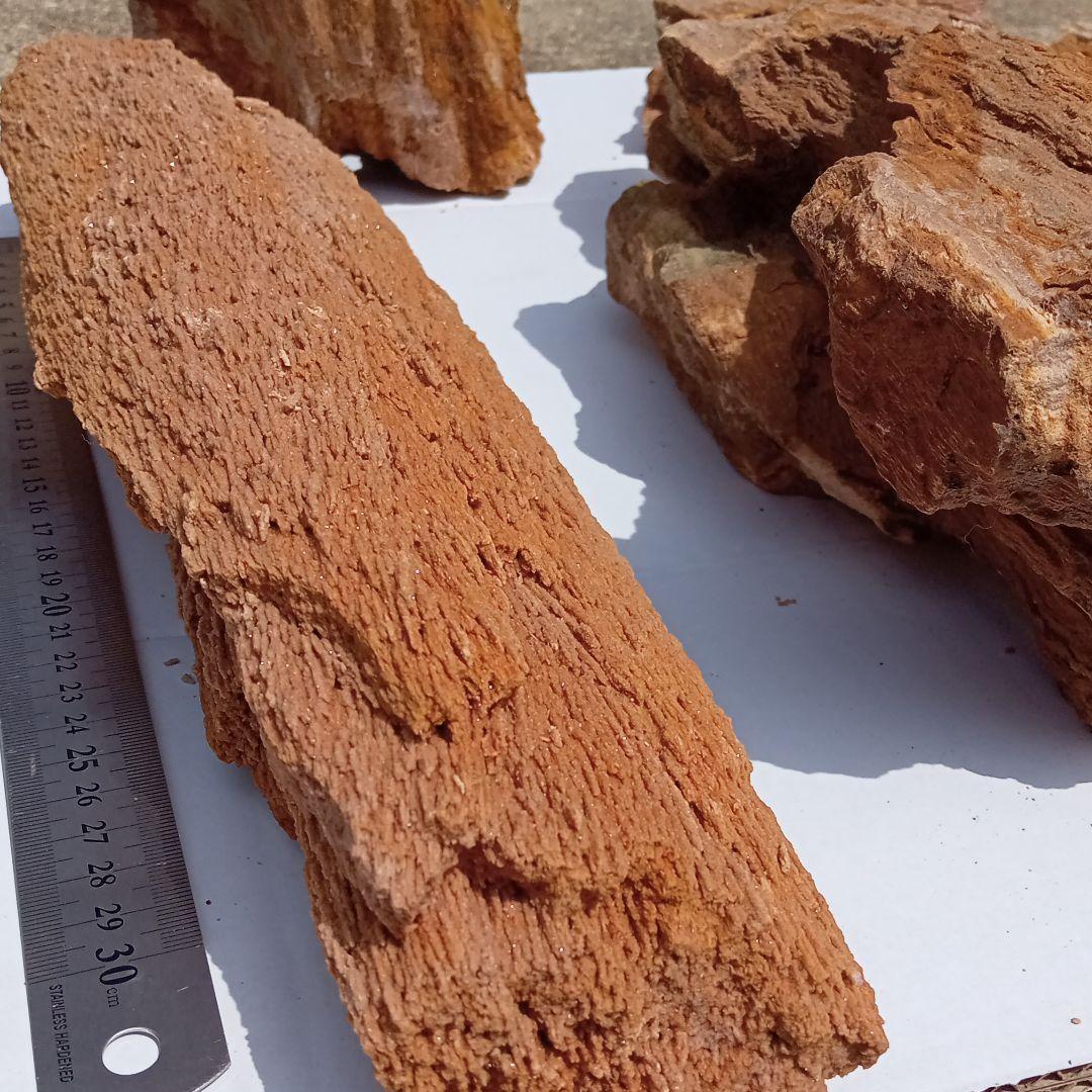 木化石01　約18ｋｇ　アクアリウム 　水槽　レイアウト　石