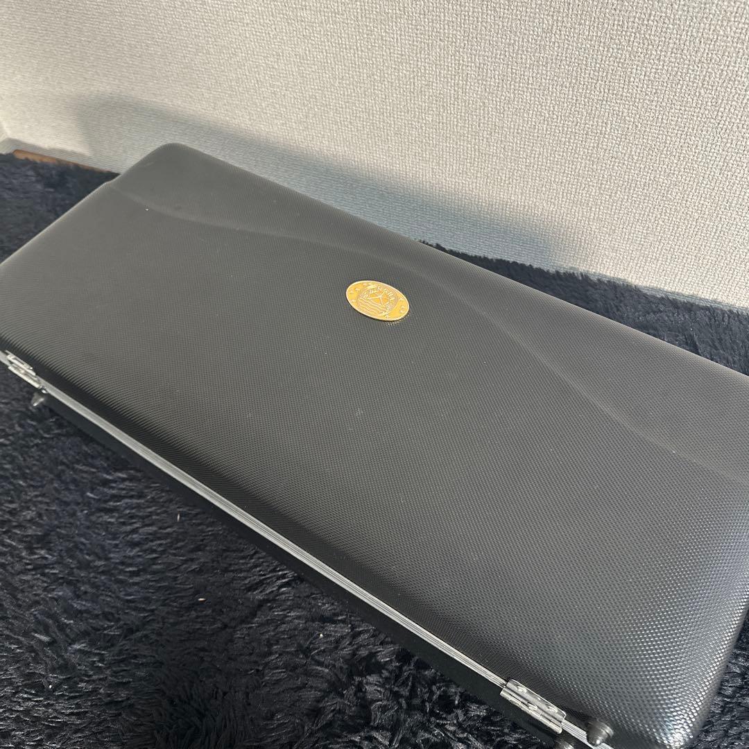 XINGHAI アルトサックス 管楽器 ケース付属 初心者向け