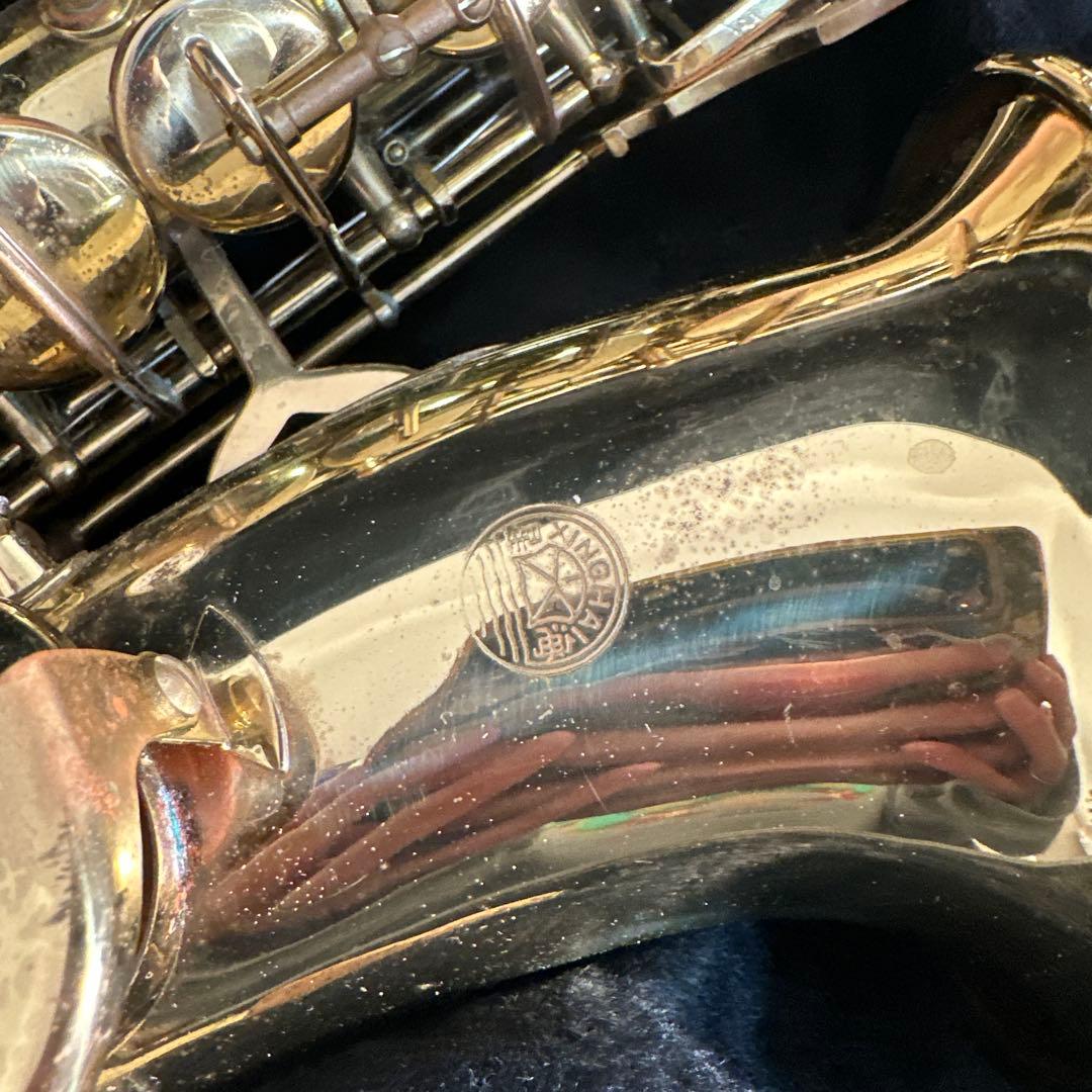 XINGHAI アルトサックス 管楽器 ケース付属 初心者向け