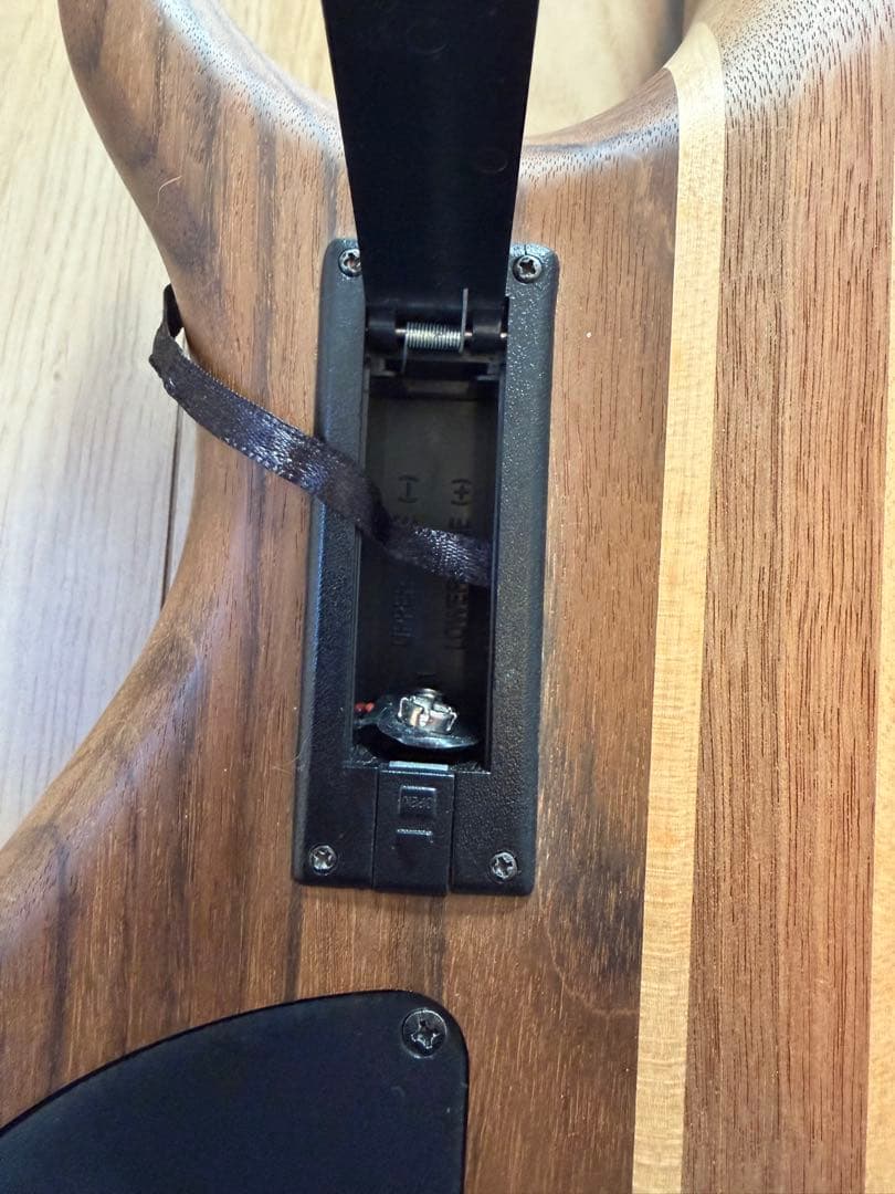 ARIA ProⅡ SB-404 スルーネック エレキベース