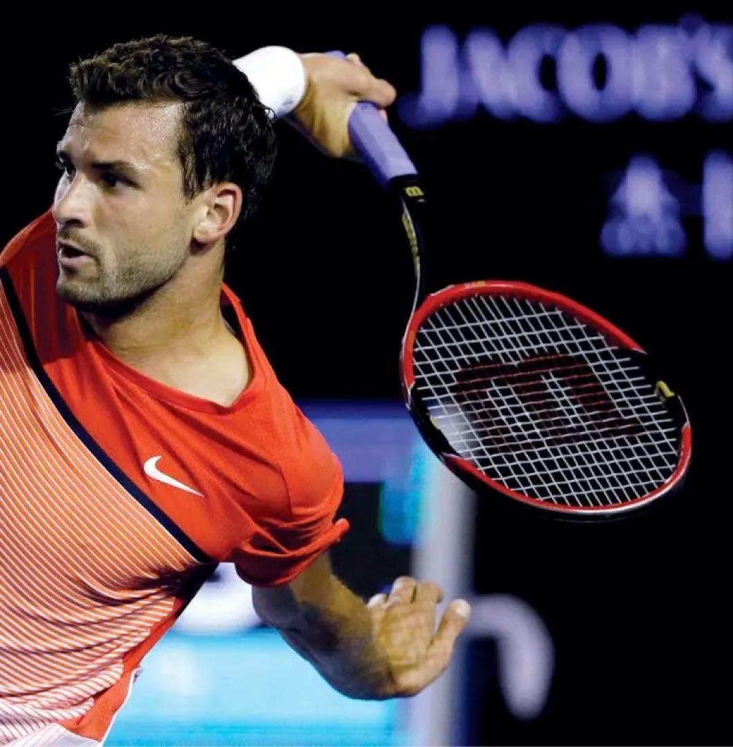 ディミトロフ使用モデル Wilson pro staff 97S ケース付き