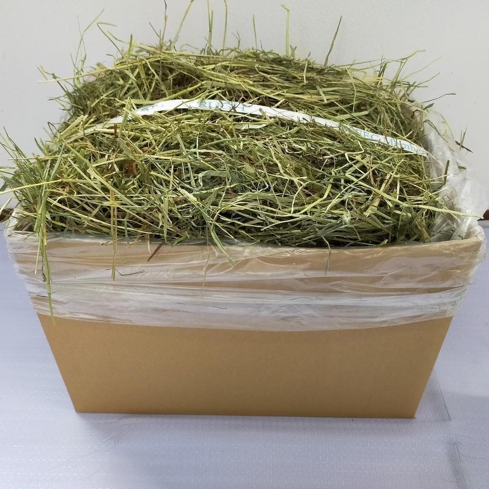 【12/30まで】US産 チモシー 50kg ２番刈り ソフトSプレミアム
