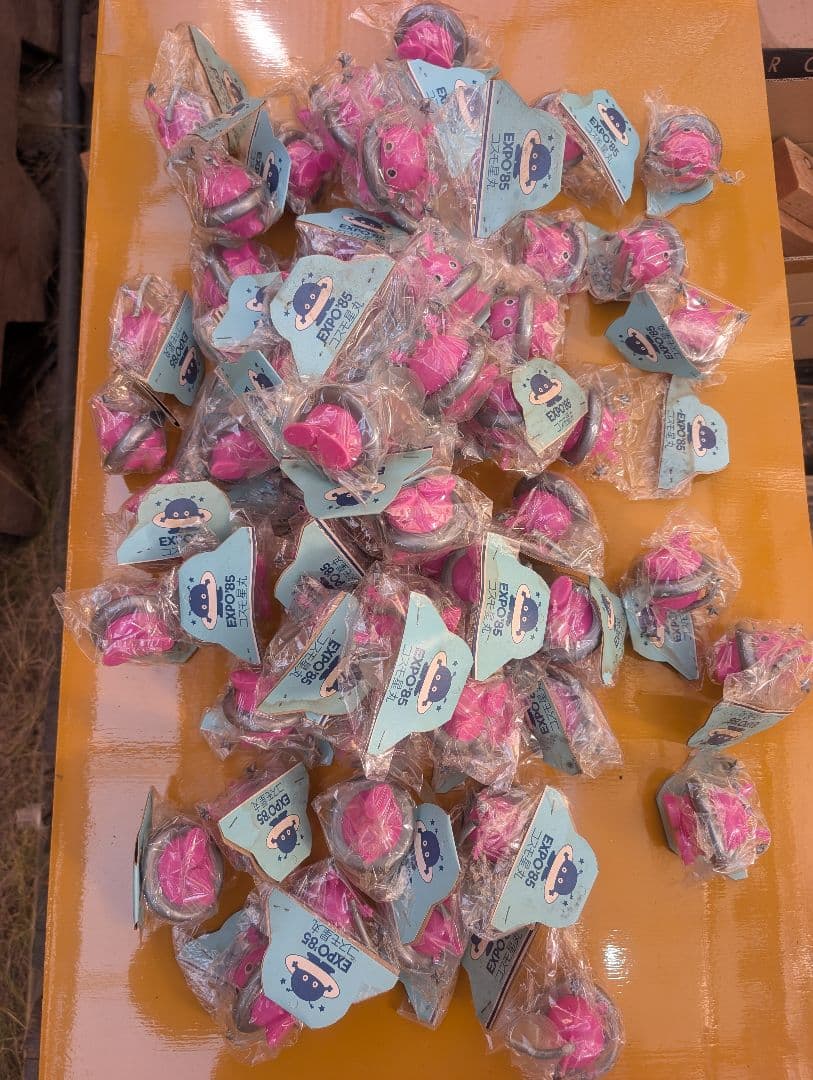 コスモ星丸EXPO85 カダヤシ