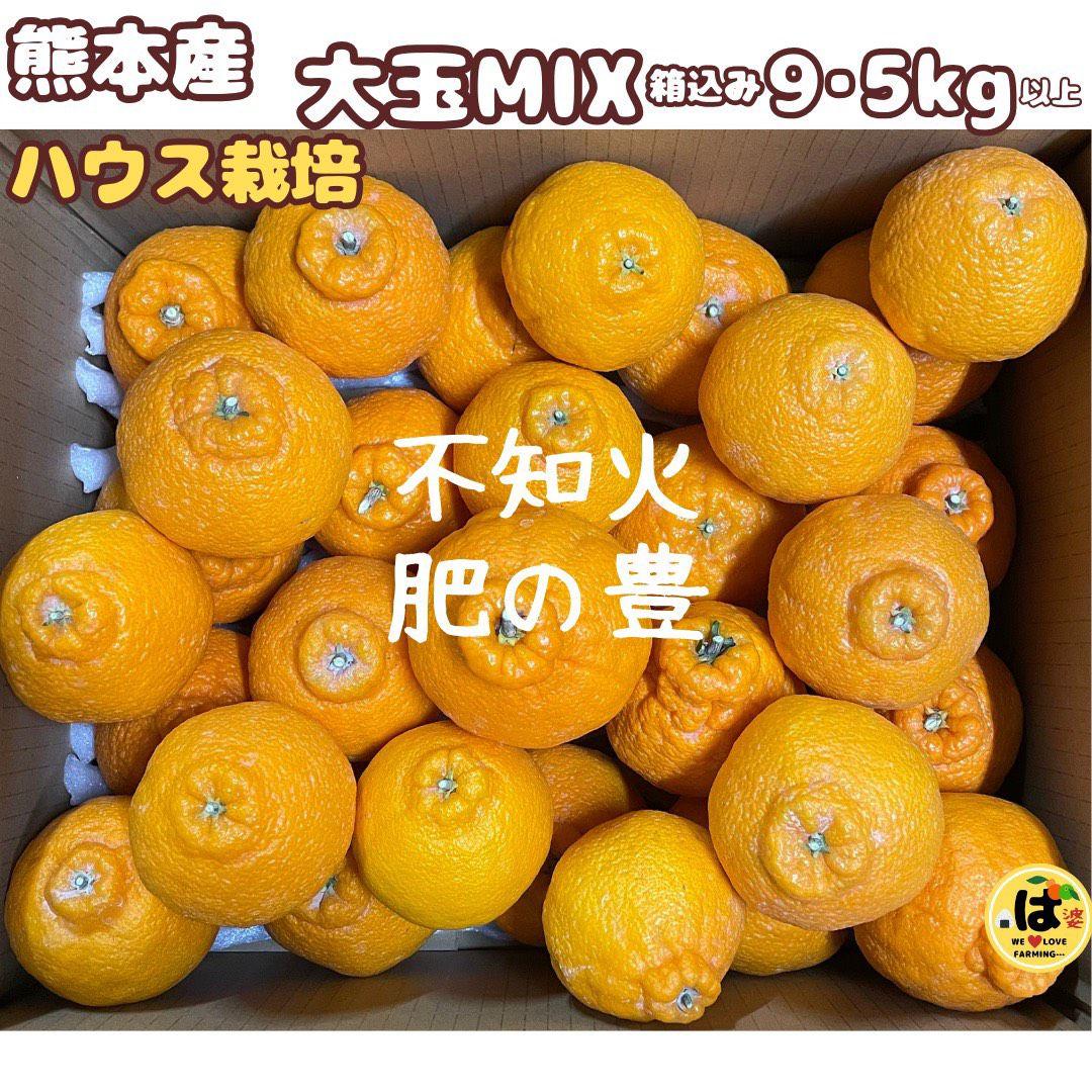 ※確認用　大玉MIX箱込み9.5kg以上【ハウス栽培　不知火　デコポン　肥の豊】