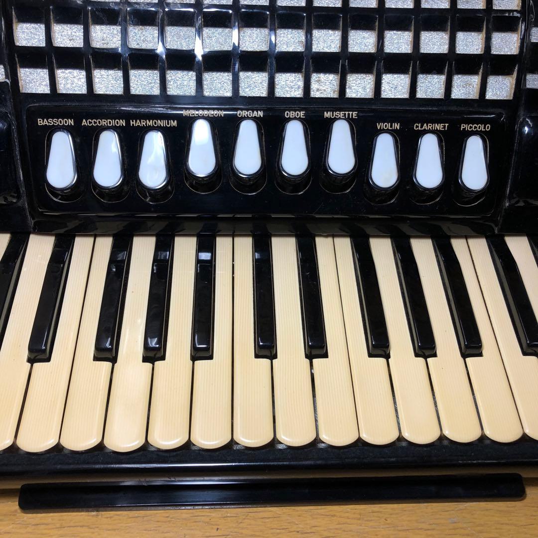 EXCELSIOR アコーディオン Professionalモデル ケース付