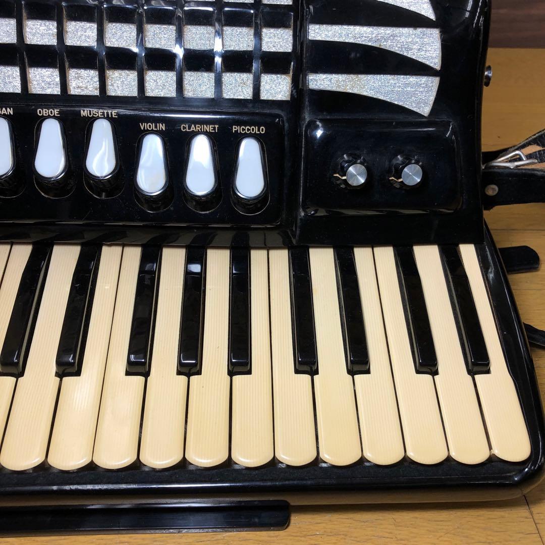 EXCELSIOR アコーディオン Professionalモデル ケース付