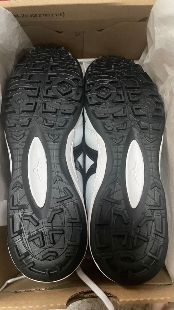 25cm新品未使用モレリアホワイトトレーニングシューズ廃盤モデルカンガルーレザー