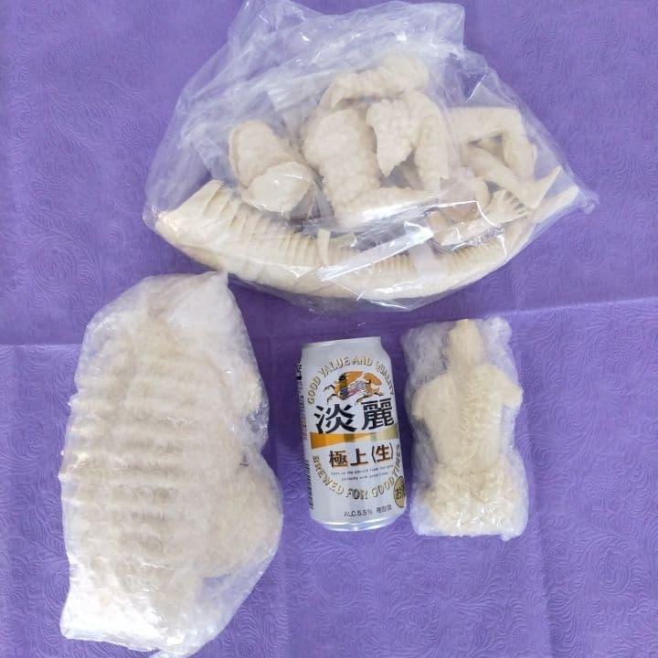 浅井造型 フランケンシュタイン 対 地底怪獣 バラゴン