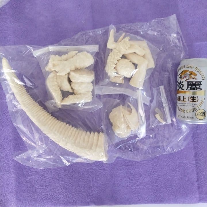 浅井造型 フランケンシュタイン 対 地底怪獣 バラゴン