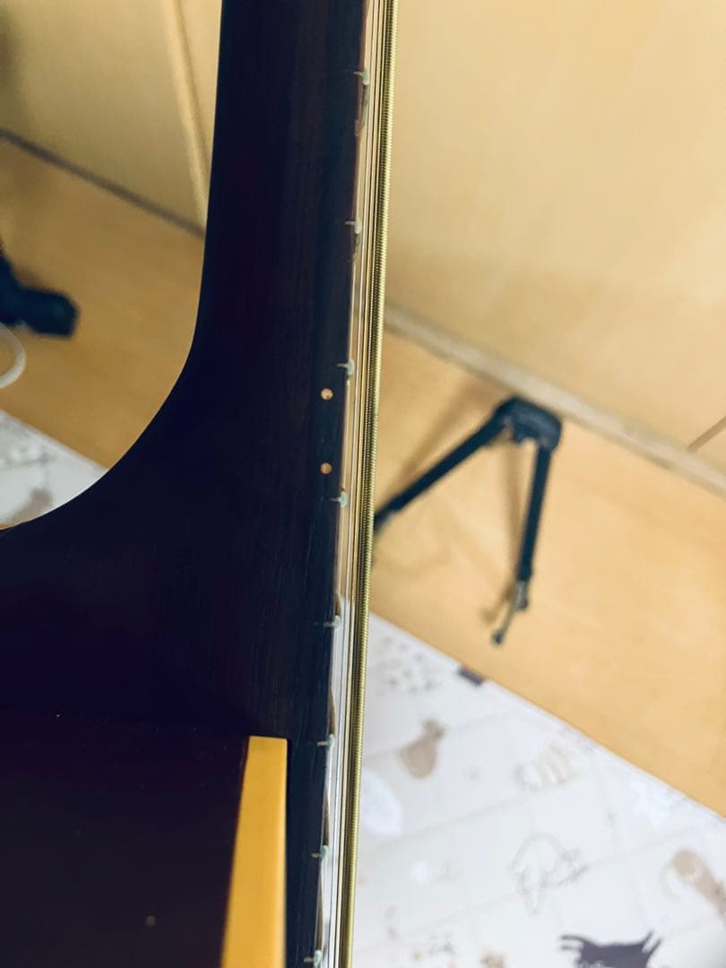 seagull S6 fork カナダ中堅モデルケース付きハンドメイドギター