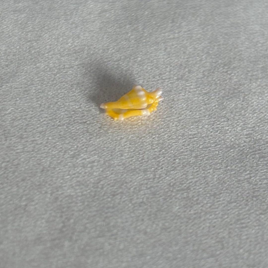 ハグルマケボリ