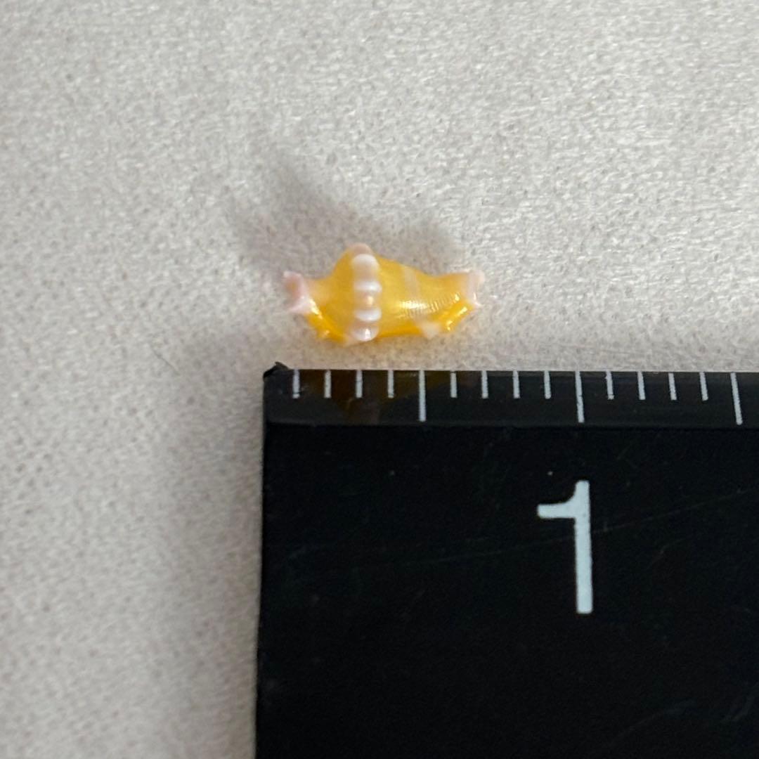 ハグルマケボリ