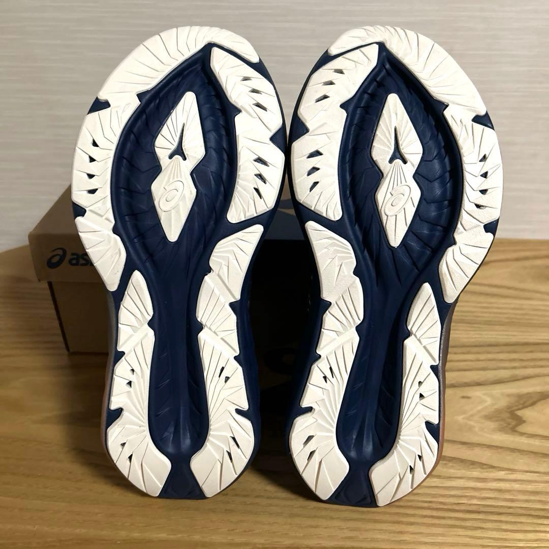 アシックスNOVABLAST4 ノヴァブラスト4 PLATINUM レディース