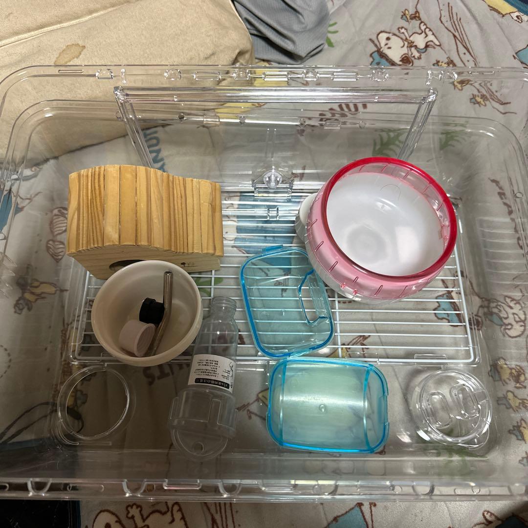 限定セール床材と餌付きルーミィ60グランスペースクリアー