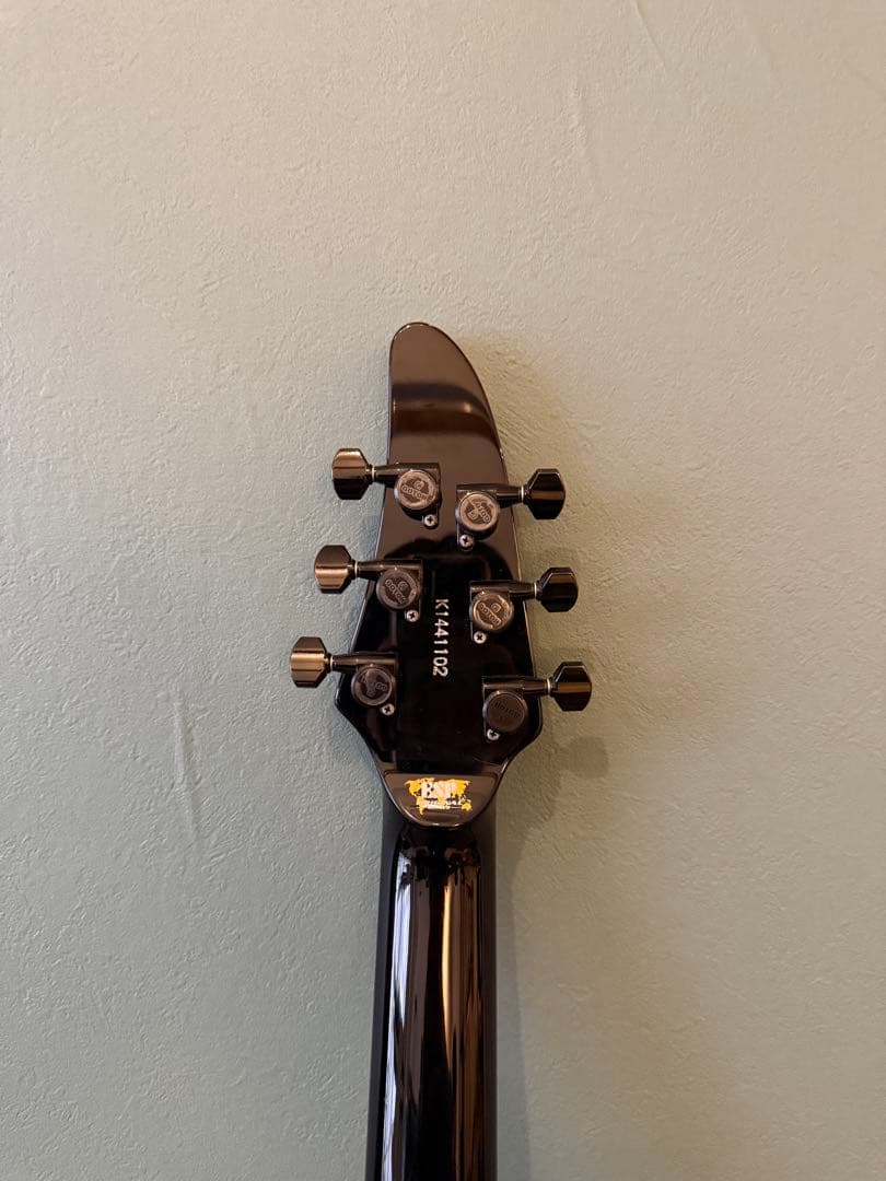 【希少/カスタム最上位・美品】ESP Horizon CTM STBK