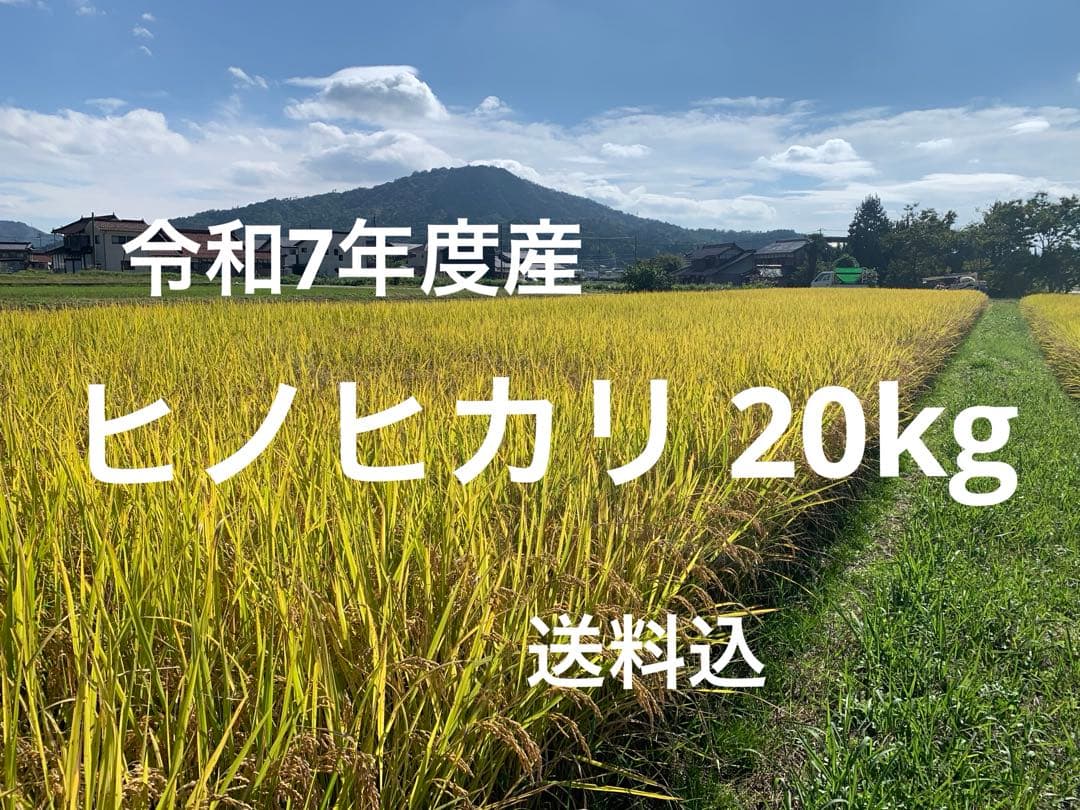 令和7年度産　ヒノヒカリ20kg(ヒノヒカリ)送料込　減農薬　農家のお米