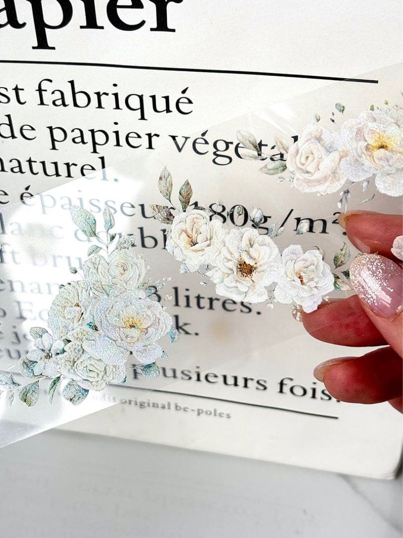 ggaggong 海外マスキングテープ　マステ 【2481】