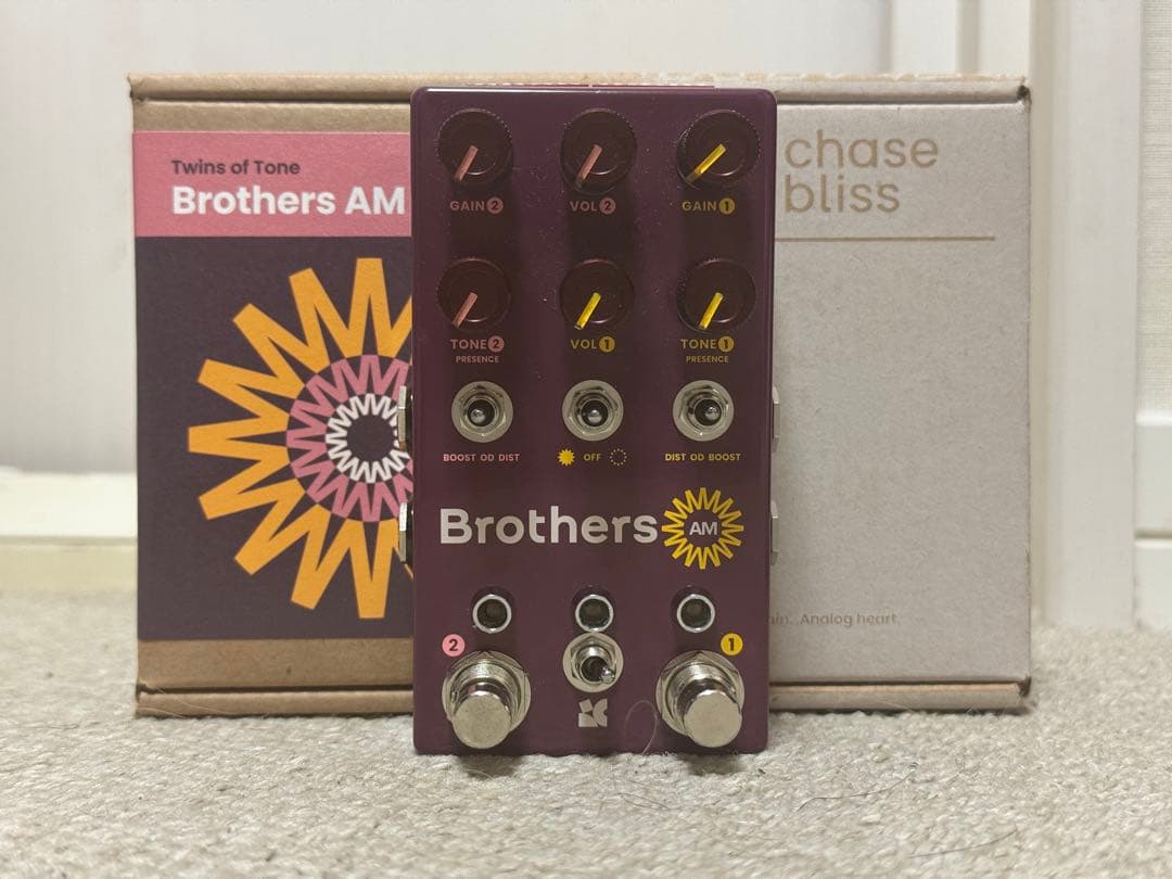 Chase Bliss Audio BROTHERS AM です。