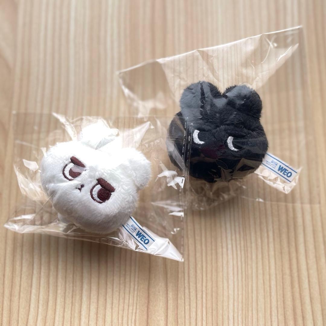 おまとめ確認用