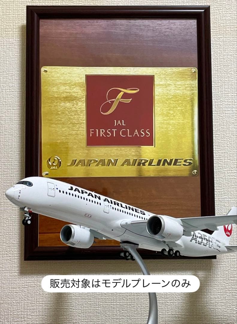 ニ*ム様 JAL日本航空A350-900 (JA02XJ) 1/200 ダイキャ