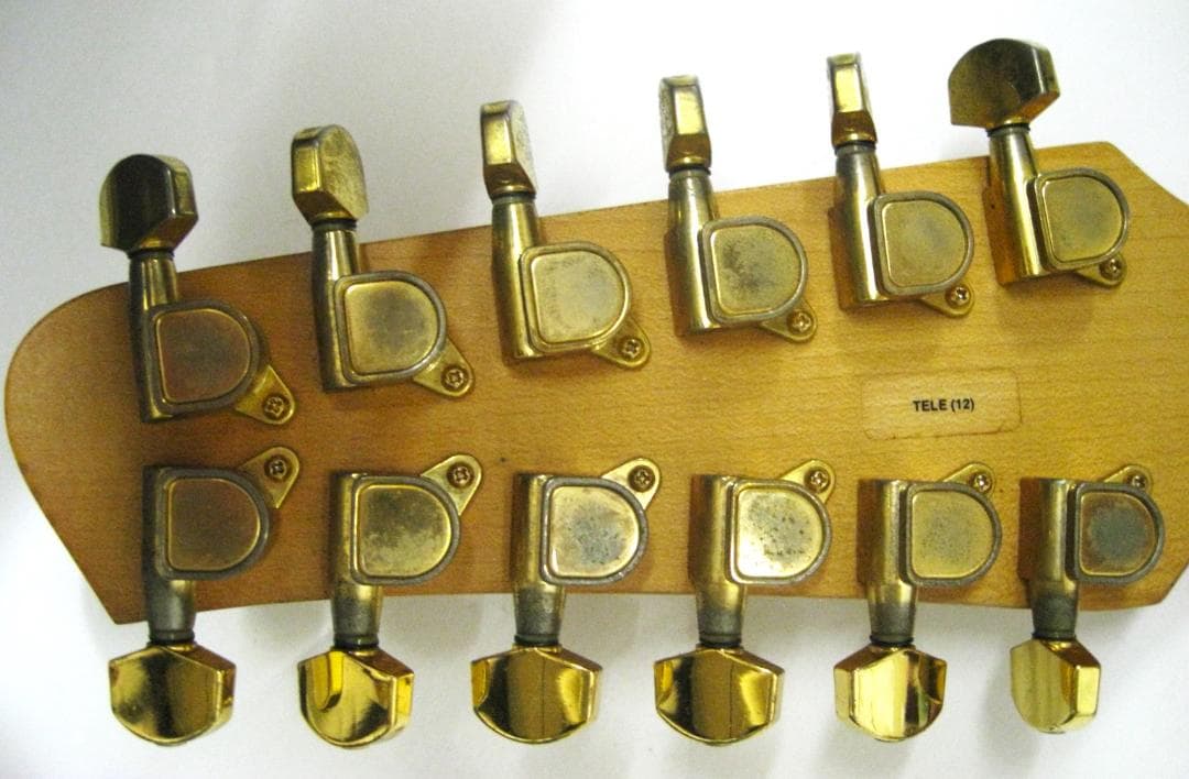 タ*ロ様 美品95年ヴィンテージオールドエレアコ ゴダンGodin12弦L.R.