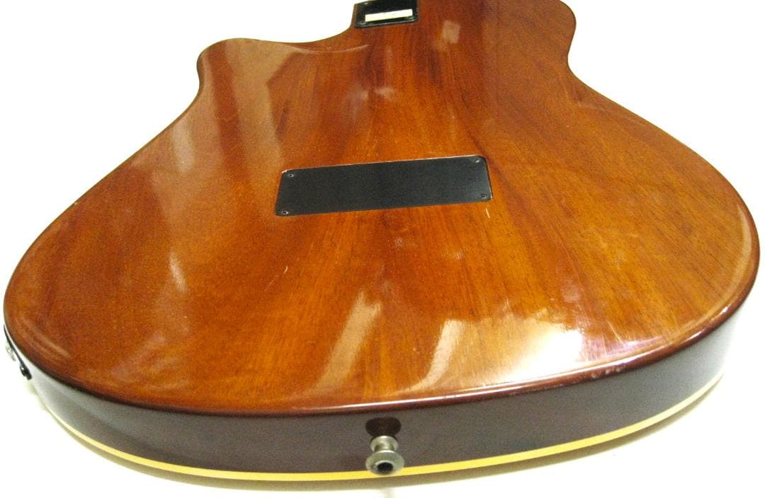 タ*ロ様 美品95年ヴィンテージオールドエレアコ ゴダンGodin12弦L.R.