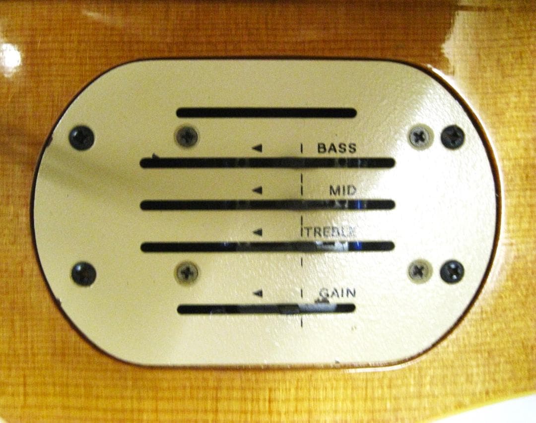 タ*ロ様 美品95年ヴィンテージオールドエレアコ ゴダンGodin12弦L.R.