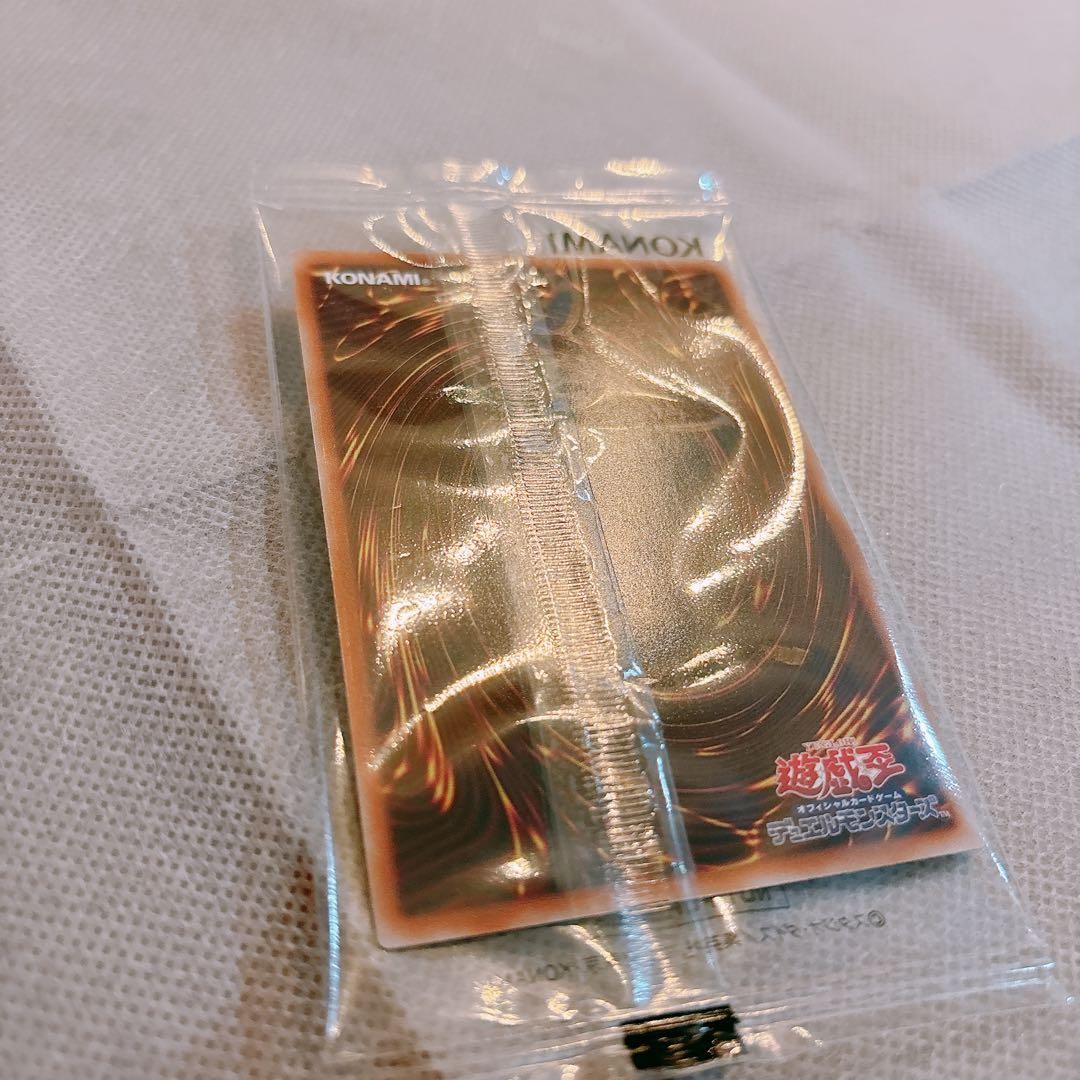 [未開封・新品]カオスソルジャー　完品フルセット