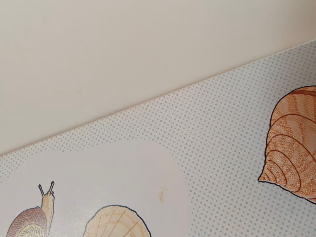 貝に沼る 解説書と風呂敷 特別展 大阪市立自然史博物館