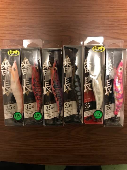 春イカはまだ終わりじゃない！実績あるエギのみ揃えました！
