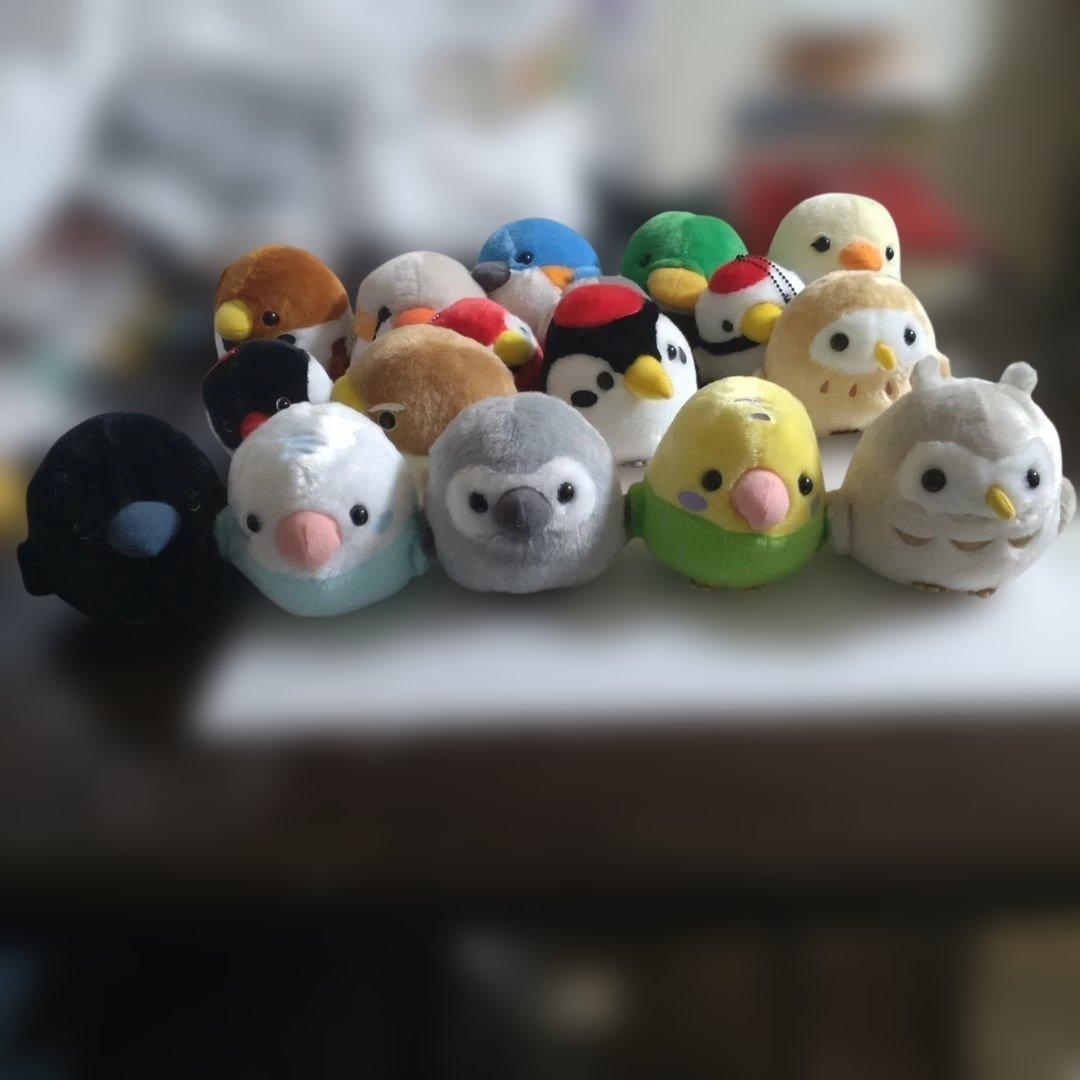 未使用品　ことり隊　ぬいぐるみ　17体セット