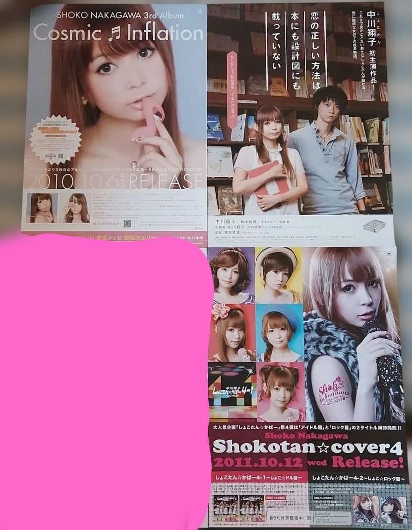 【美品 B2ポスター大量10枚セット！！】中川翔子 しょこたん