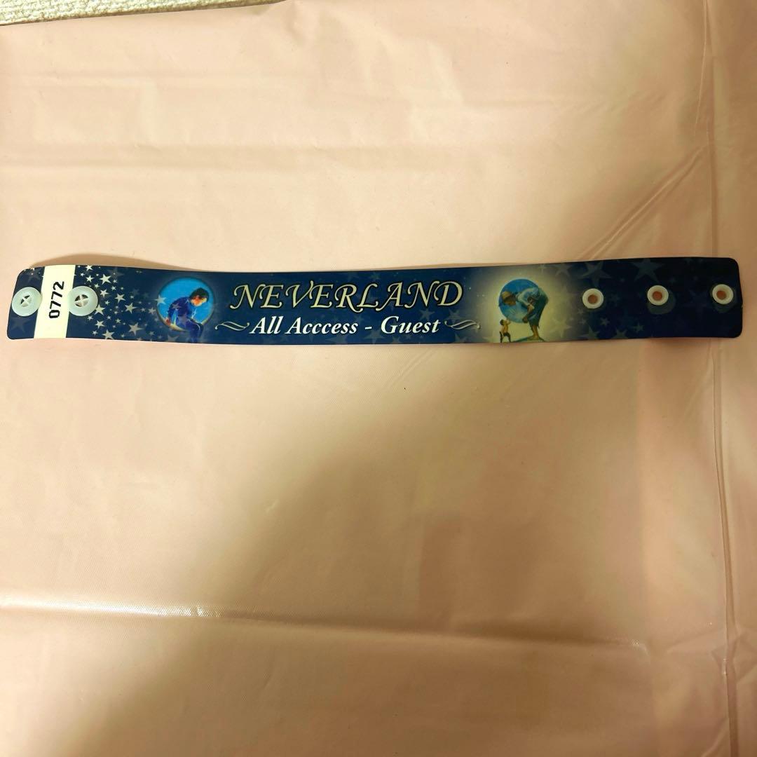 マイケルジャクソン⭐️NEVERLAND All Access Guest バンド