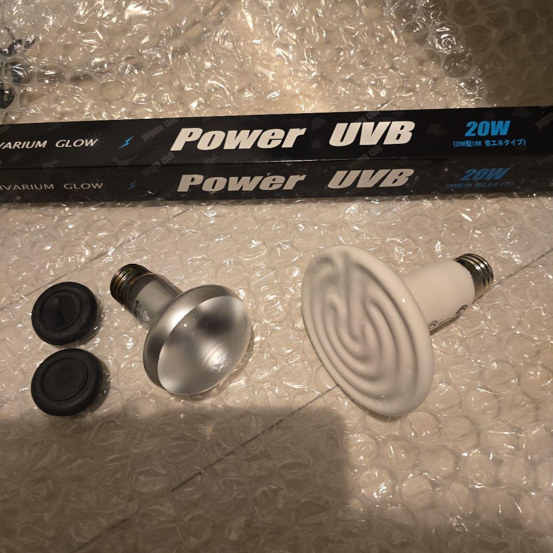 フトアゴ飼育セット