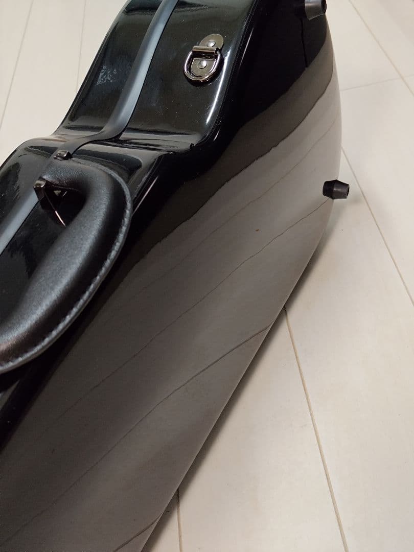 Eastman バイオリンケース ブラック