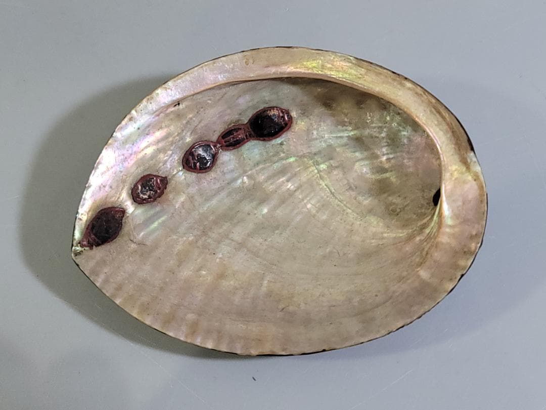 鮑 漆沈刻 花草紋 盃 提げ物 根付 時代物 DT611