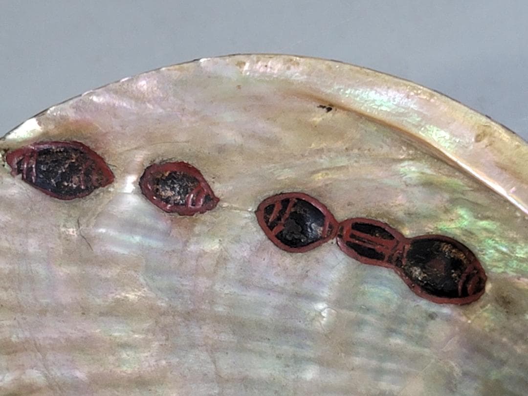 鮑 漆沈刻 花草紋 盃 提げ物 根付 時代物 DT611