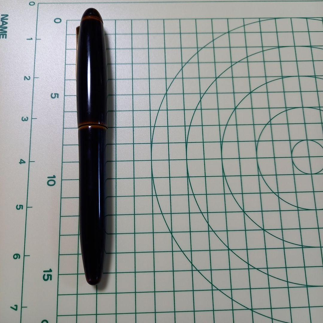 Platinum万年筆　出雲　枇杷溜