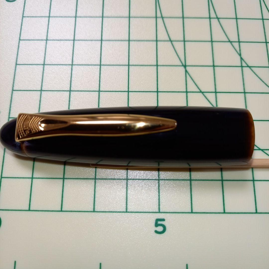 Platinum万年筆　出雲　枇杷溜