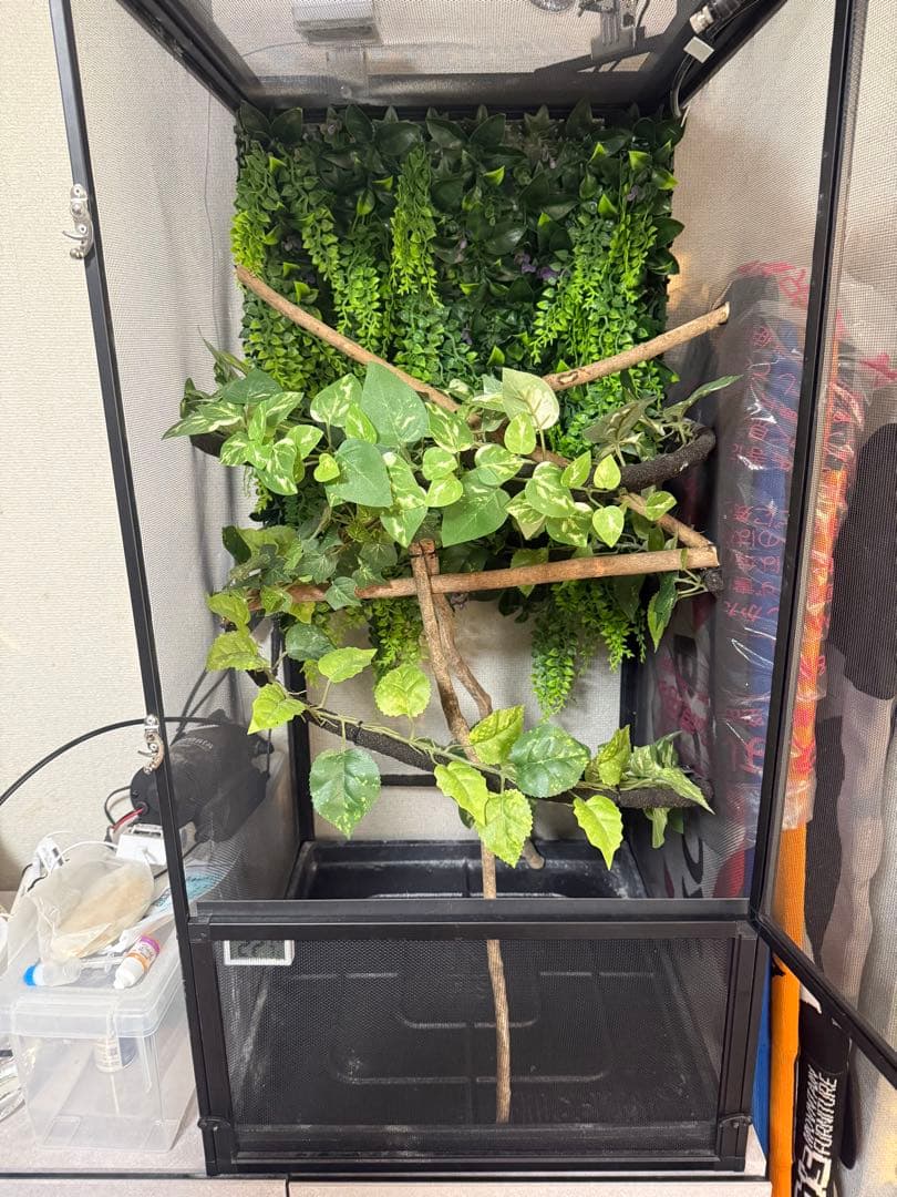 爬虫類ケージＧＥＸエキゾテラ　スクリーンテラリウム４５９０　カメレオン飼育セット