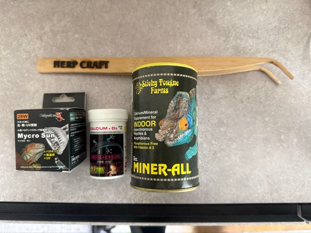 爬虫類ケージＧＥＸエキゾテラ　スクリーンテラリウム４５９０　カメレオン飼育セット