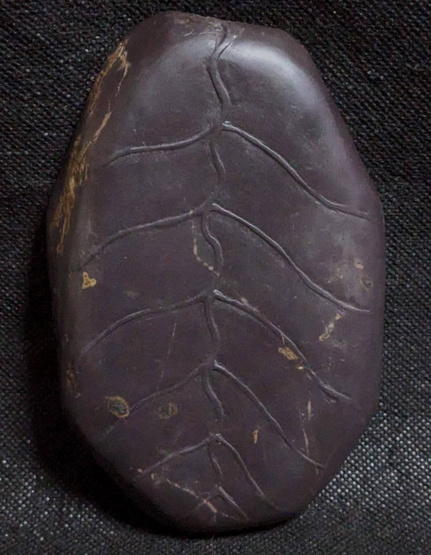 【端渓・葉脈文天成硯】◆金線・冰紋の紫黒美石◆唐木共箱◆約5.2吋◆老坑