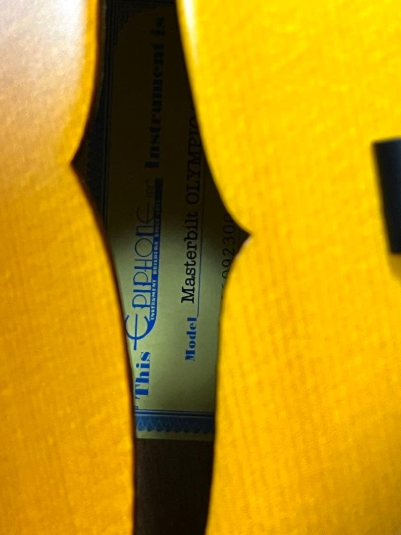 ★激レア Epiphone Masterbilt Century Olympic