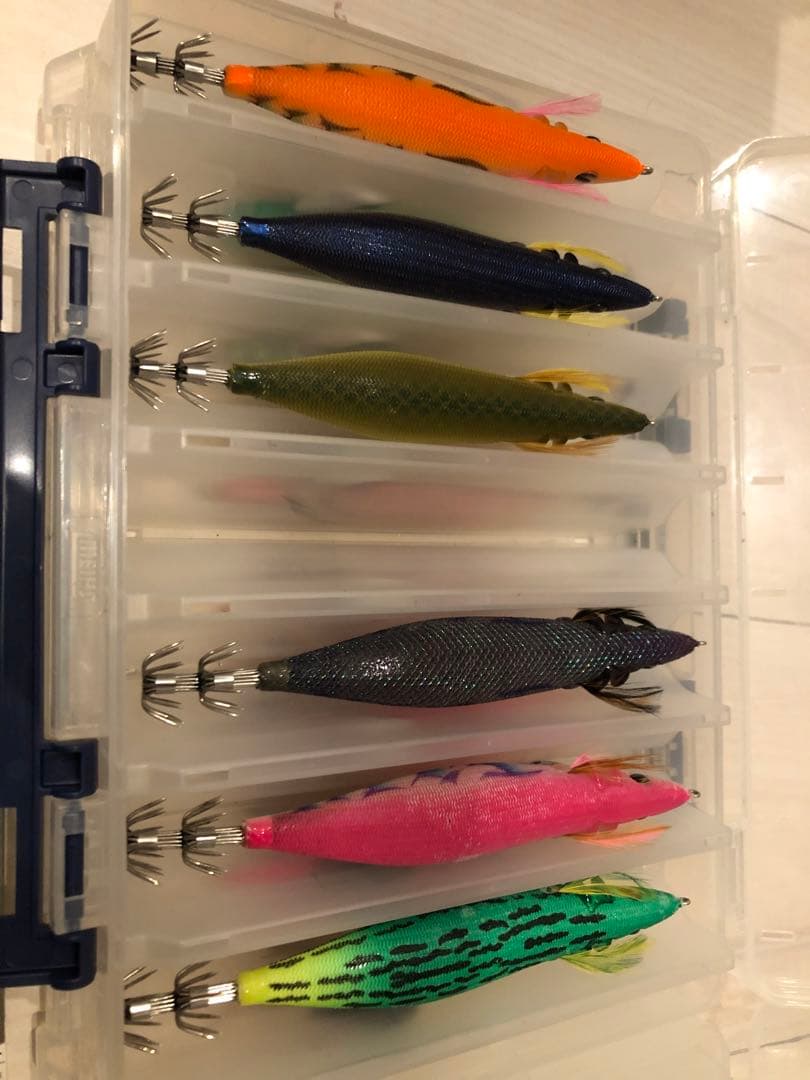 ダイワエギセット