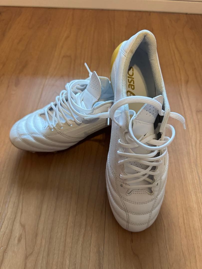 asics DSライトX fry4 25.5㎝