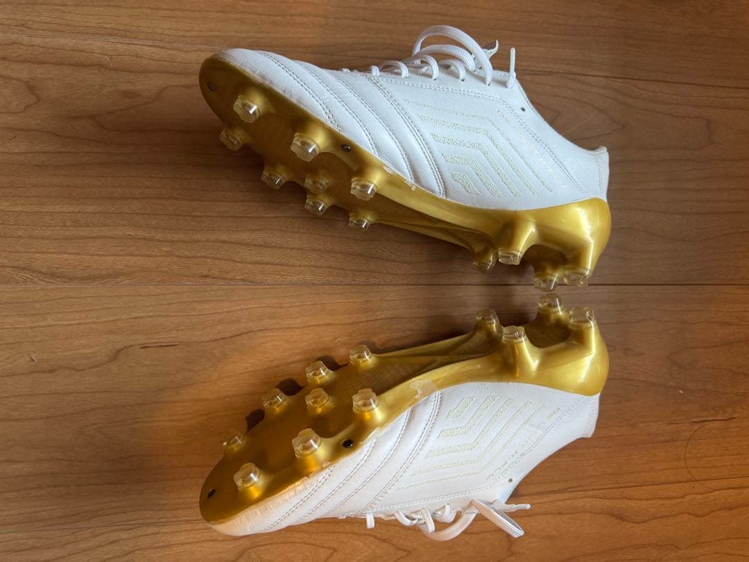 asics DSライトX fry4 25.5㎝