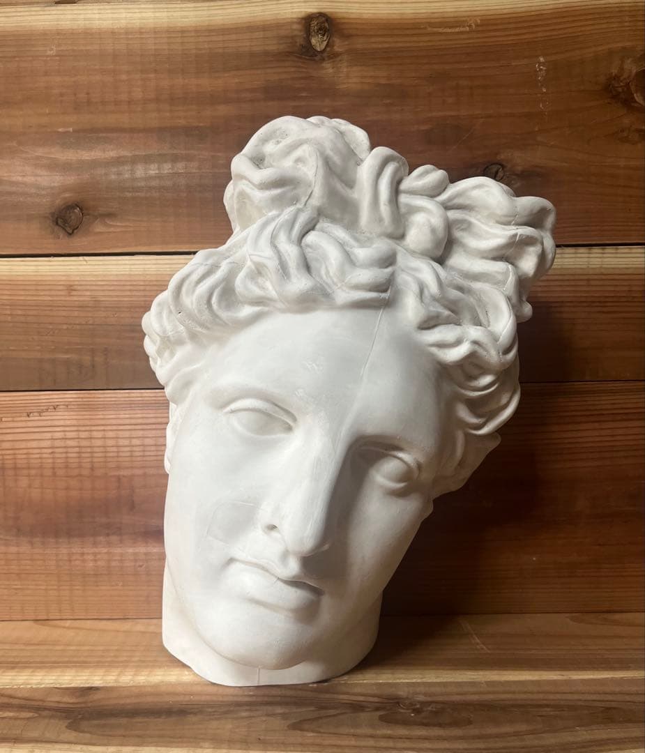石膏像　アポロ　半面　アポロン　美術 デッサン ギリシャ神話 ヴェルヴェデーレ