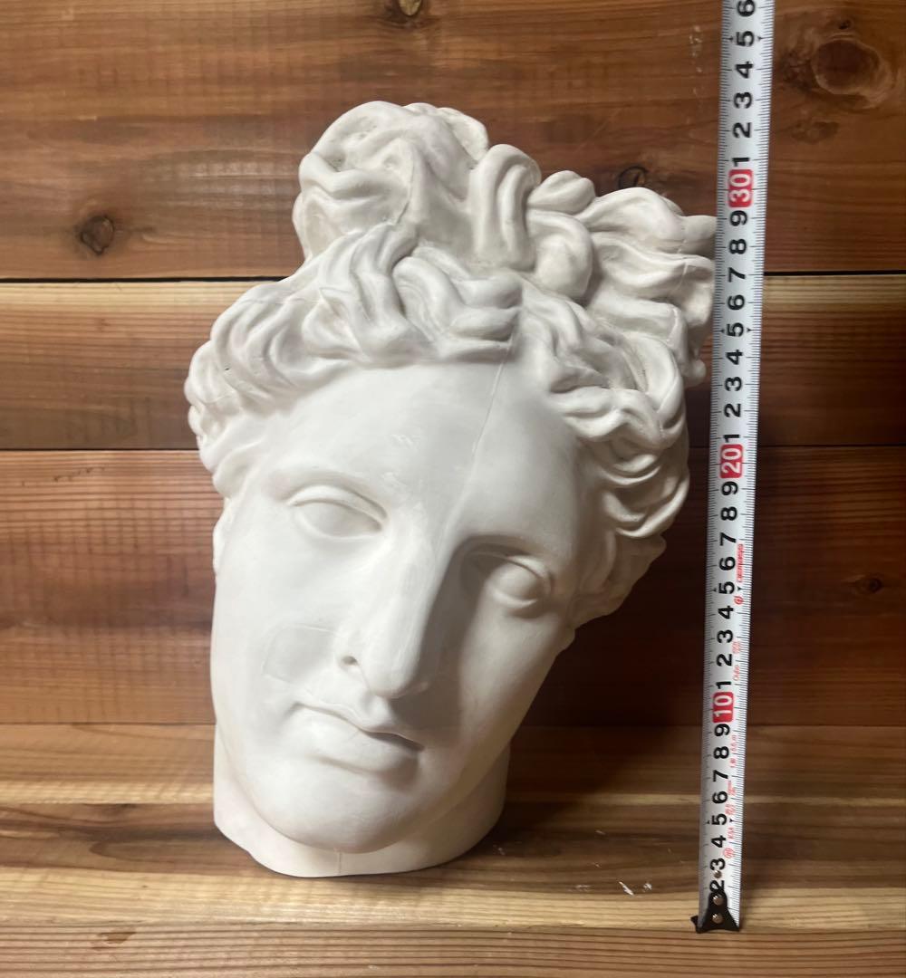 石膏像　アポロ　半面　アポロン　美術 デッサン ギリシャ神話 ヴェルヴェデーレ