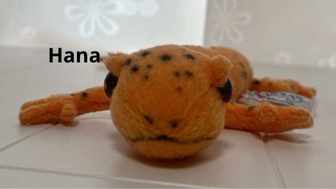 激レア⁉︎ 入手困難！ HANSA ハンサ アカブチサンショウウオ ぬいぐるみ