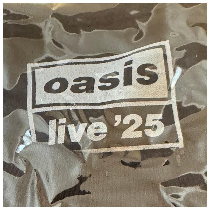 新品 1026 XLサイズ Oasis live25 江戸紫 Tシャツ おまけ付